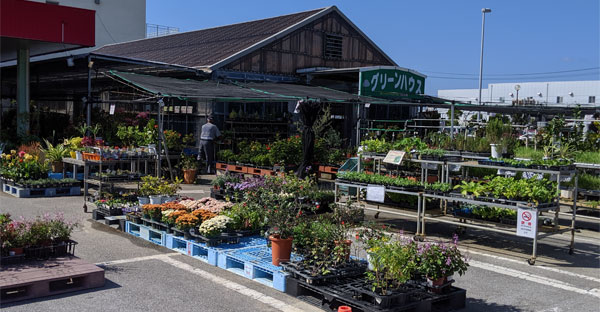 グリーンハウス