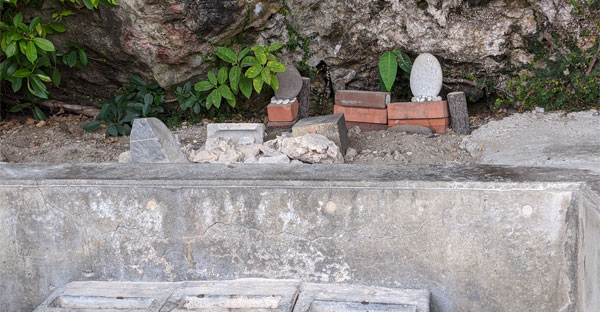 さまざまなイビ