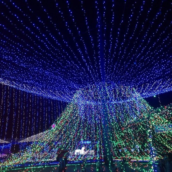 年末年始はピースフルイルミネーション